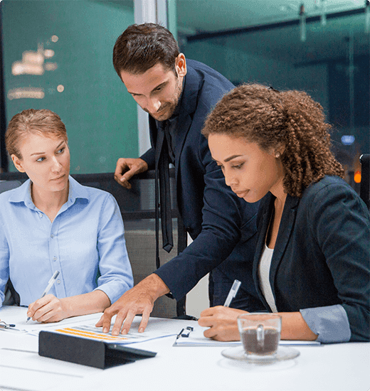 Software Development Team